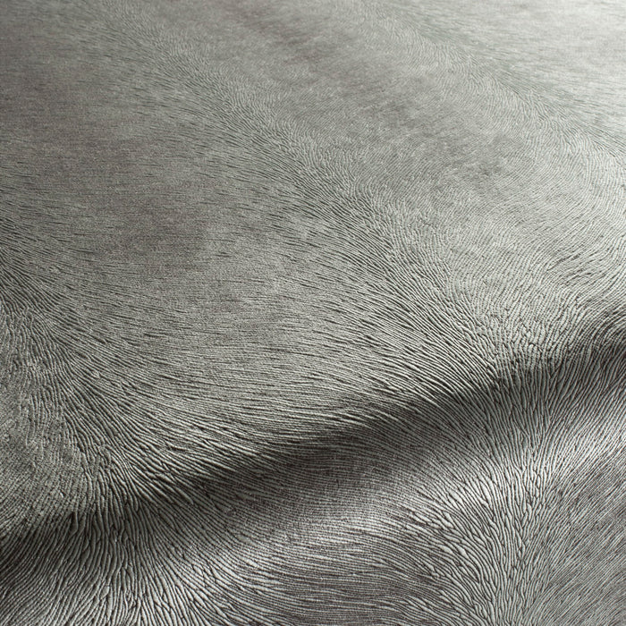 Carlucci Pistoia Velvet Reloaded 091 Fabric Sample CA1292/091
