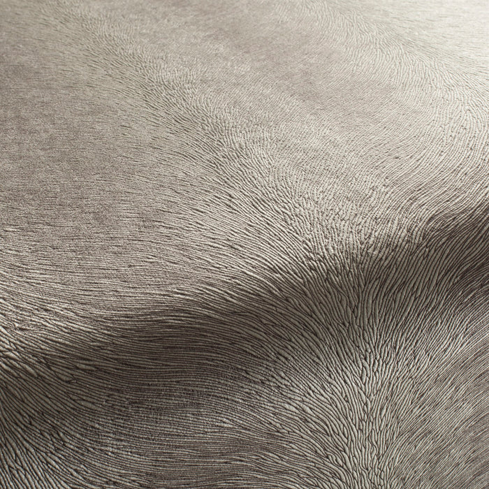 Carlucci Pistoia Velvet Reloaded 094 Fabric CA1292/094