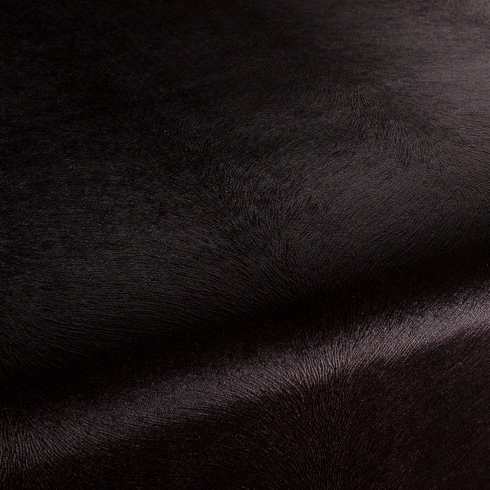 Carlucci Pistoia Velvet Reloaded 120 Fabric CA1292/120