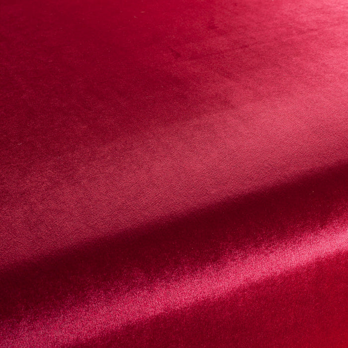 Carlucci Punto Velvet 010 Fabric CA1293/010