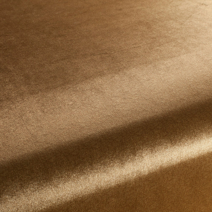 Carlucci Punto Velvet 031 Fabric CA1293/031