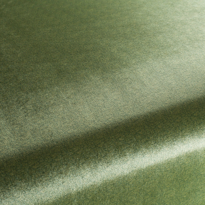 Carlucci Punto Velvet 032 Fabric Sample CA1293/032