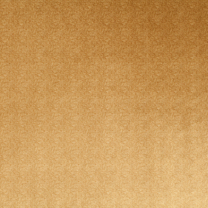 Carlucci Punto Velvet 040 Fabric Sample CA1293/040