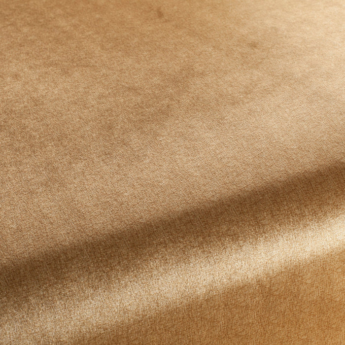Carlucci Punto Velvet 040 Fabric Sample CA1293/040