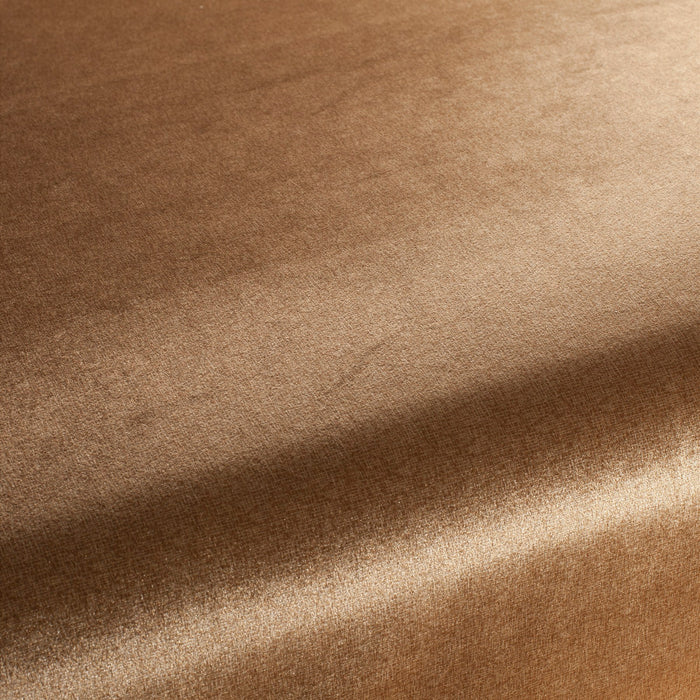 Carlucci Punto Velvet 041 Fabric Sample CA1293/041