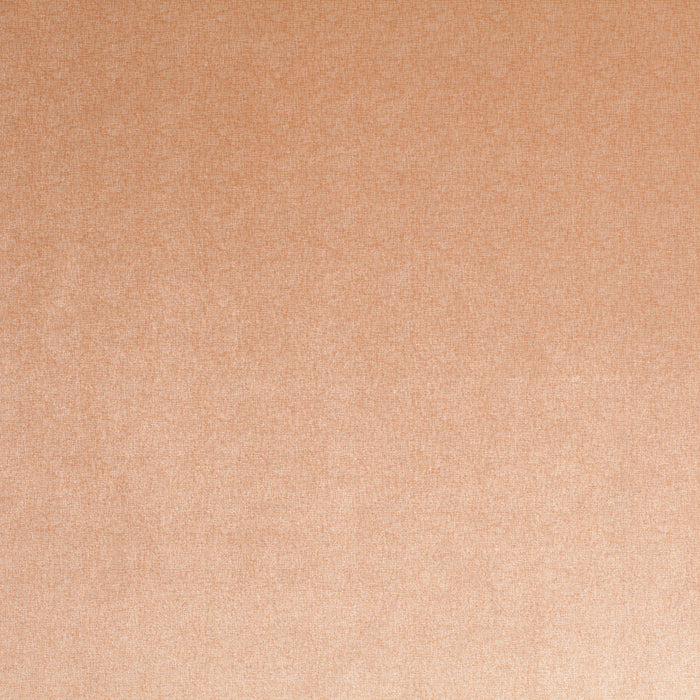 Carlucci Punto Velvet 060 Fabric CA1293/060
