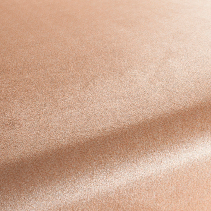 Carlucci Punto Velvet 060 Fabric Sample CA1293/060