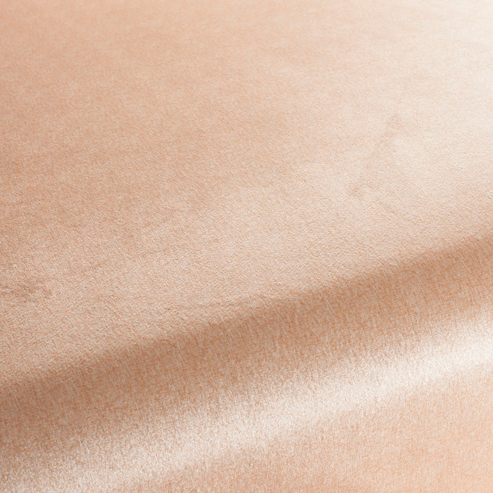 Carlucci Punto Velvet 062 Fabric Sample CA1293/062