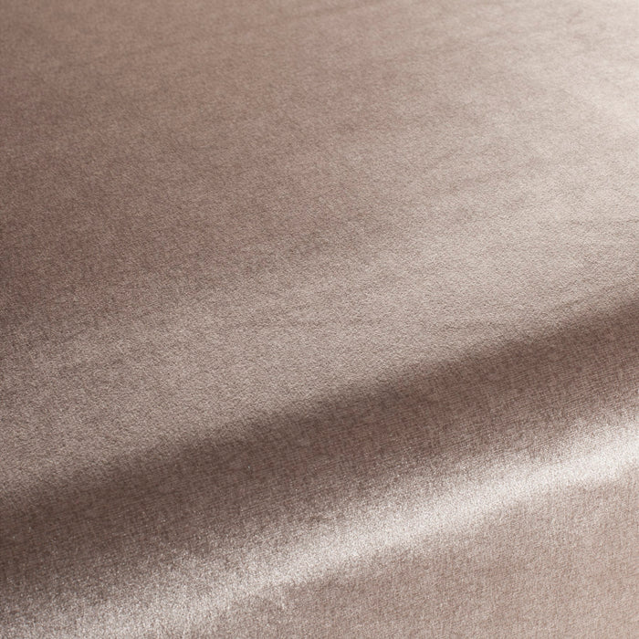 Carlucci Punto Velvet 070 Fabric Sample CA1293/070