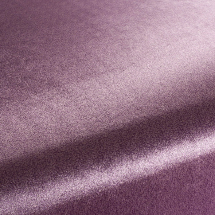 Carlucci Punto Velvet 080 Fabric CA1293/080