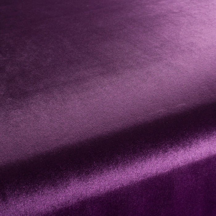 Carlucci Punto Velvet 083 Fabric CA1293/083