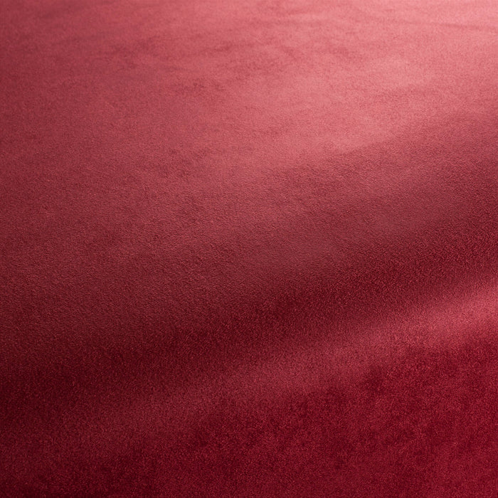 Carlucci Doppio 012 Fabric Sample CA1331/012