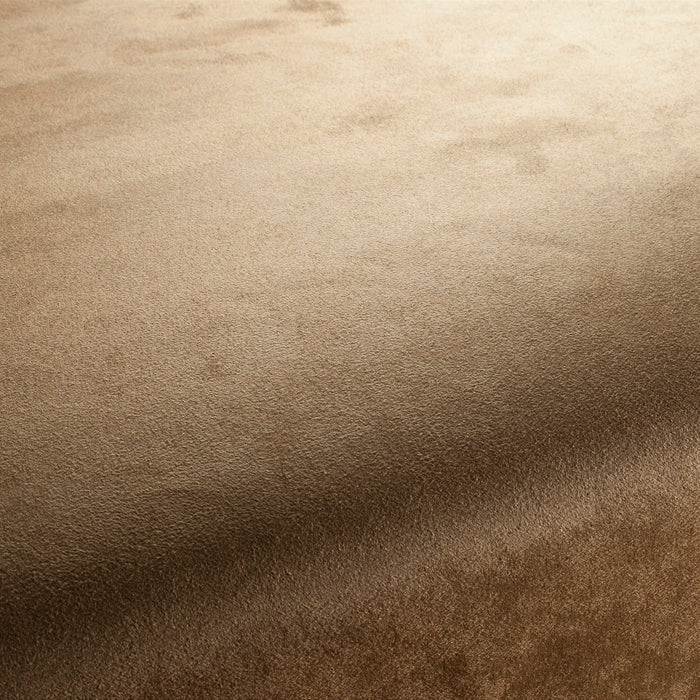 Carlucci Doppio 020 Fabric Sample CA1331/020