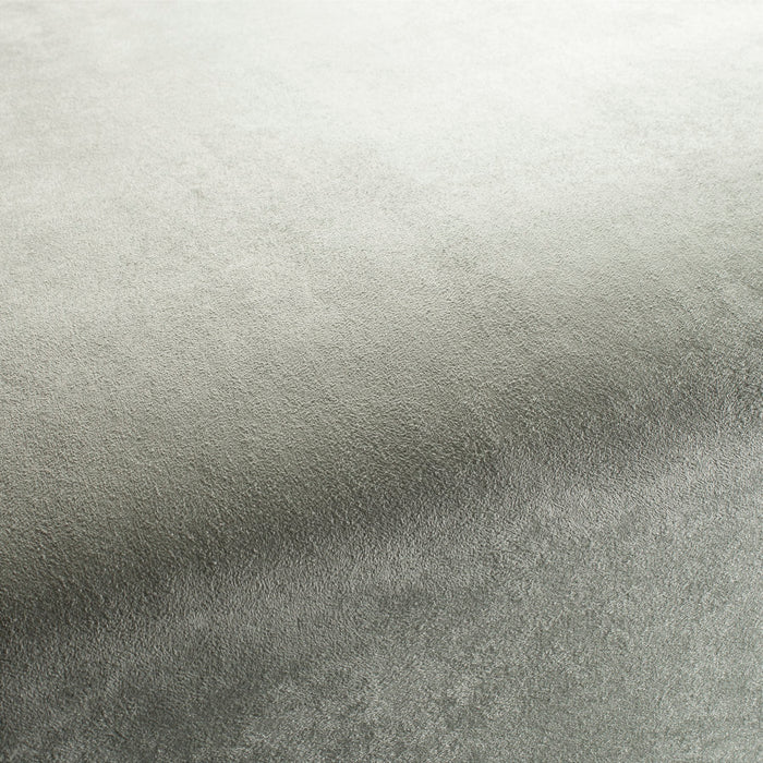 Carlucci Doppio 030 Fabric Sample CA1331/030