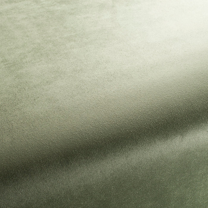 Carlucci Doppio 032 Fabric CA1331/032