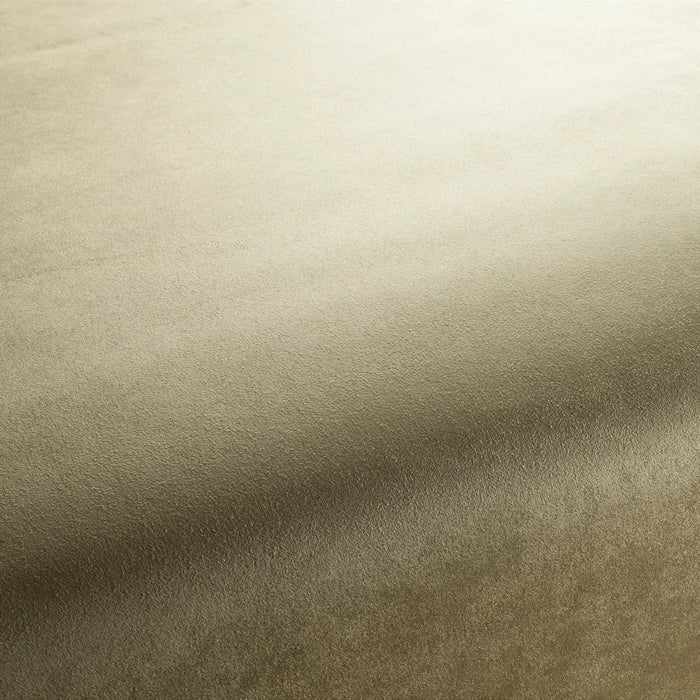 Carlucci Doppio 033 Fabric Sample CA1331/033
