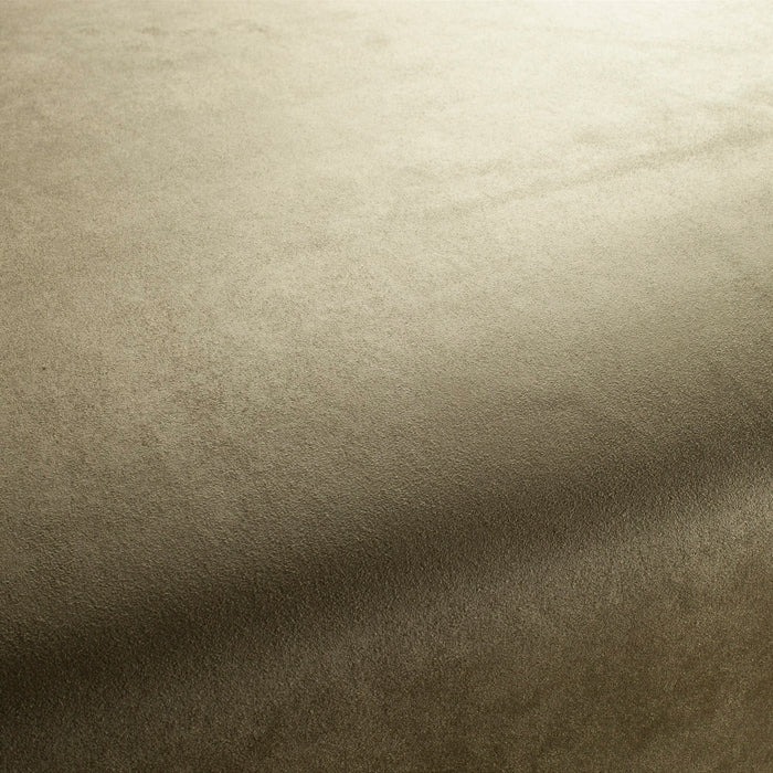 Carlucci Doppio 035 Fabric Sample CA1331/035
