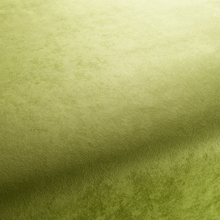 Carlucci Doppio 036 Fabric Sample CA1331/036