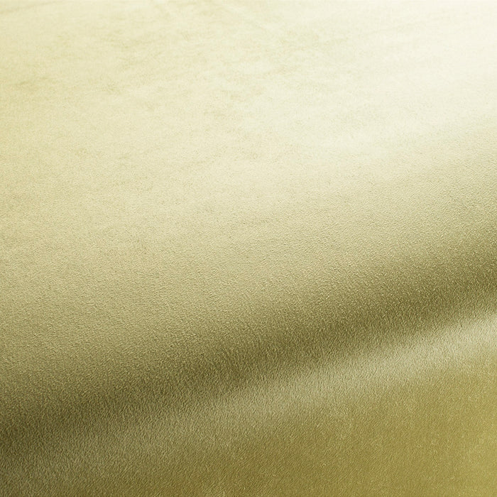 Carlucci Doppio 037 Fabric Sample CA1331/037