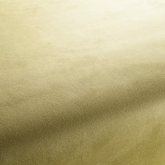 Carlucci Doppio 038 Fabric CA1331/038