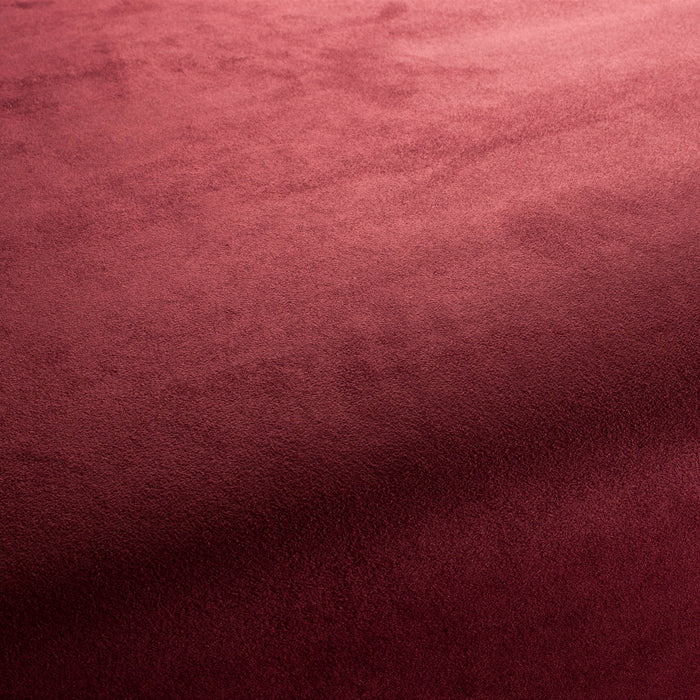 Carlucci Doppio 063 Fabric Sample CA1331/063
