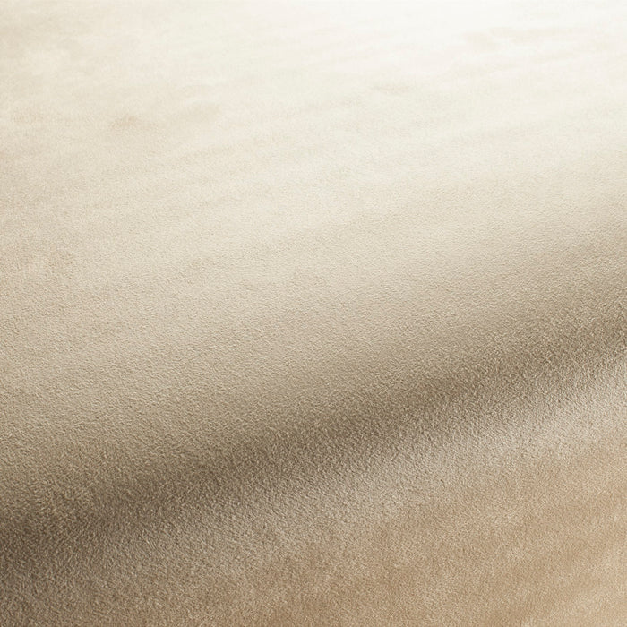 Carlucci Doppio 075 Fabric Sample CA1331/075