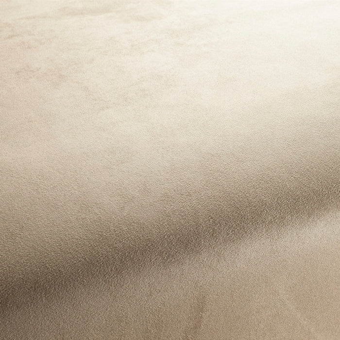 Carlucci Doppio 076 Fabric CA1331/076