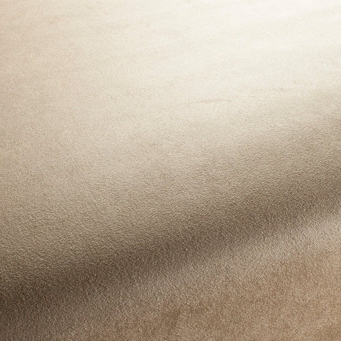 Carlucci Doppio 077 Fabric CA1331/077