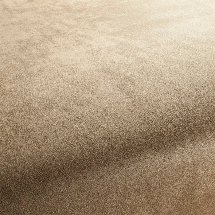 Carlucci Doppio 078 Fabric CA1331/078