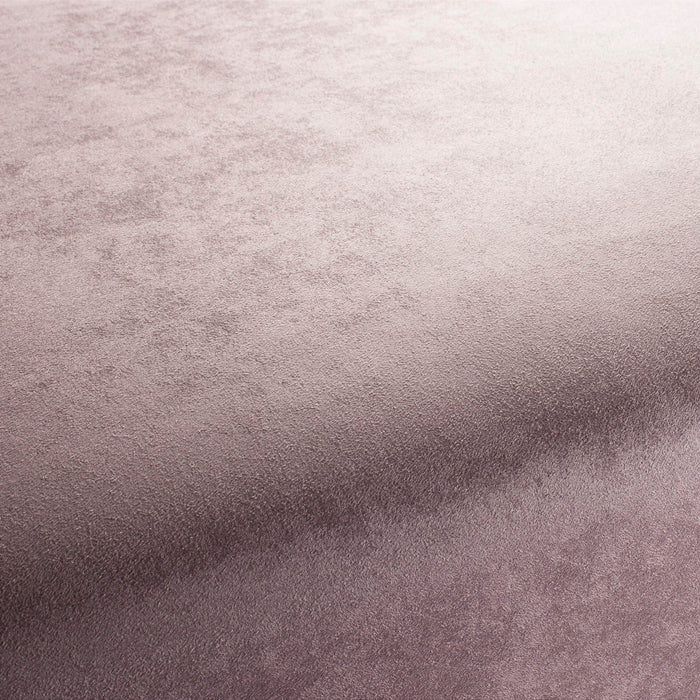 Carlucci Doppio 083 Fabric CA1331/083