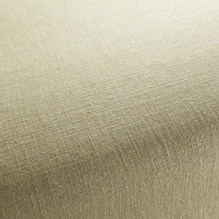Carlucci Lino Lavato 031 Fabric CA1403/031