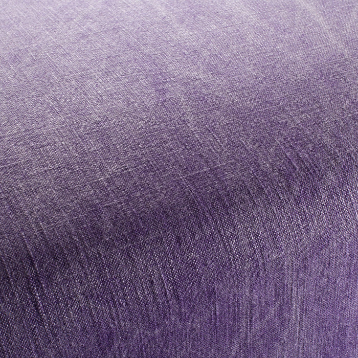 Carlucci Lino Lavato 088 Fabric CA1403/088