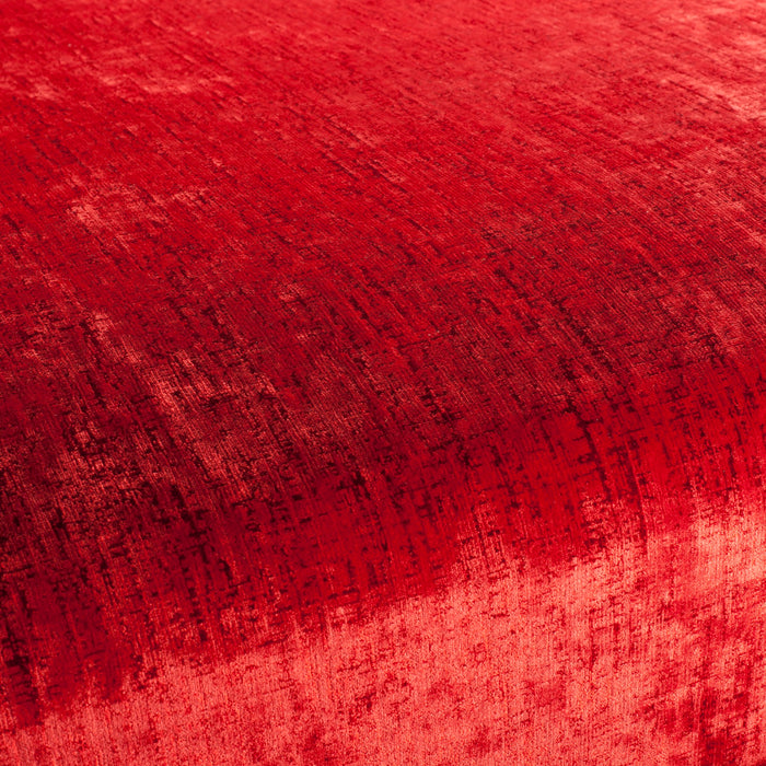 Carlucci Valentina Velvet 010 Fabric Sample CA1404/010