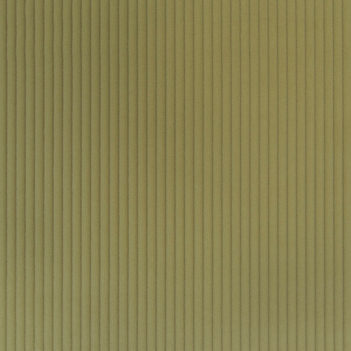 Carlucci Cord Uno Reloaded 130 Fabric CA1419/130