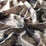 Carlucci Fiore Botanico 051 Fabric CA1444/051