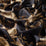 Carlucci Avventura 099 Fabric CA1491/099