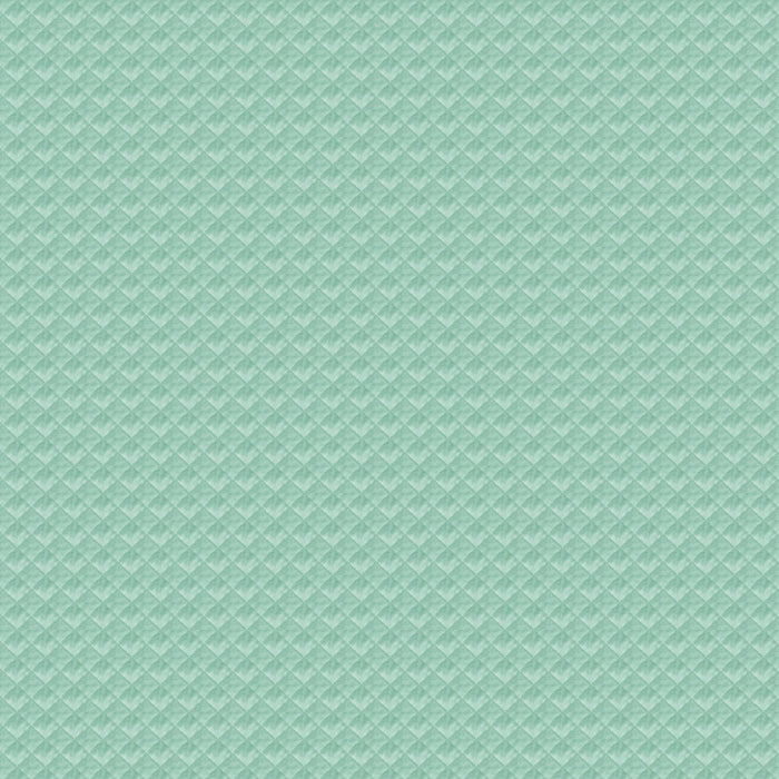 Carlucci Perino Velvet 080 Fabric Sample CA1494/080