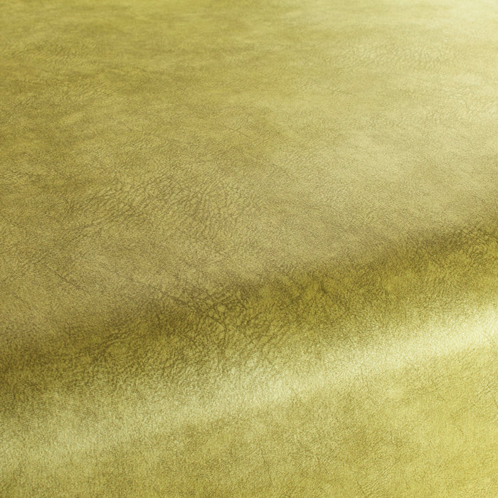 Carlucci Just Imagine 030 Fabric Sample CA1530/030