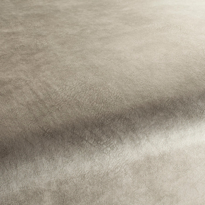 Carlucci Just Imagine 071 Fabric CA1530/071
