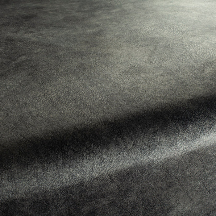 Carlucci Just Imagine 099 Fabric Sample CA1530/099