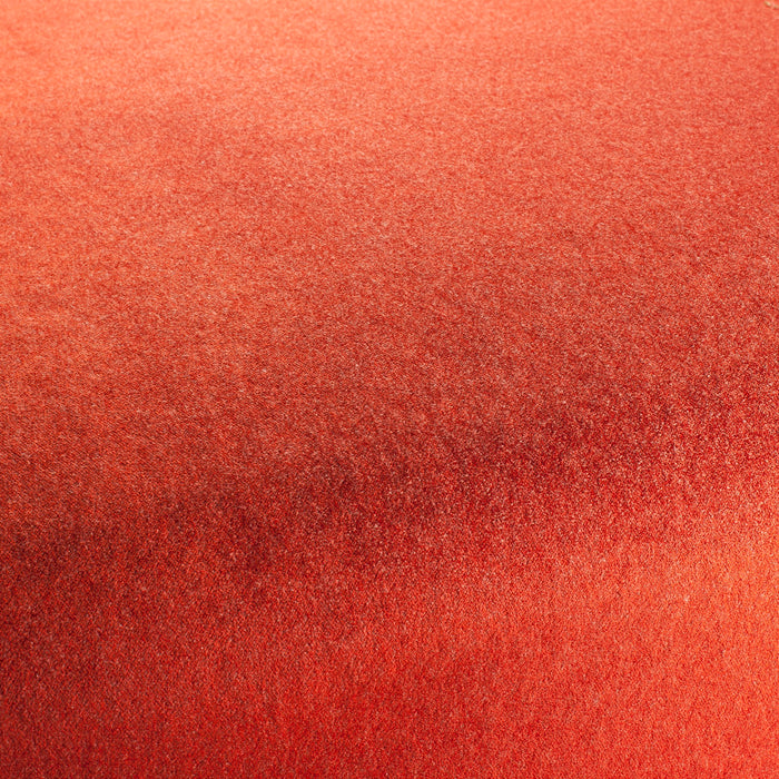 Carlucci Eternal Velvet 010 Fabric CA1540/010