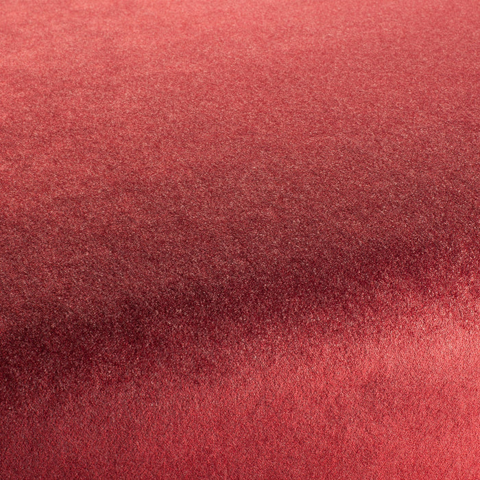 Carlucci Eternal Velvet 011 Fabric CA1540/011