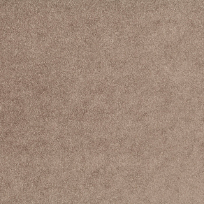 Carlucci Eternal Velvet 020 Fabric CA1540/020