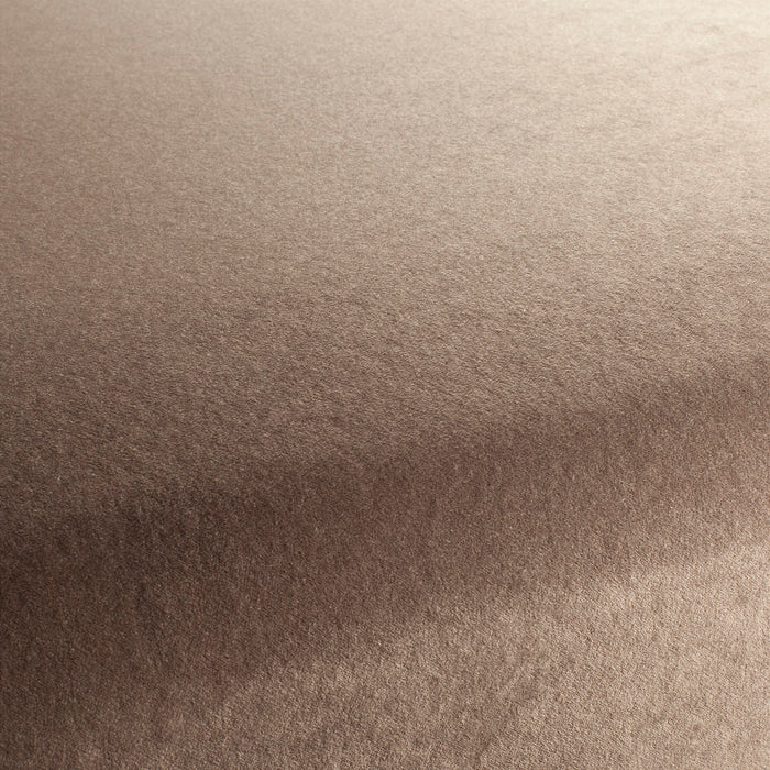 Carlucci Eternal Velvet 020 Fabric CA1540/020