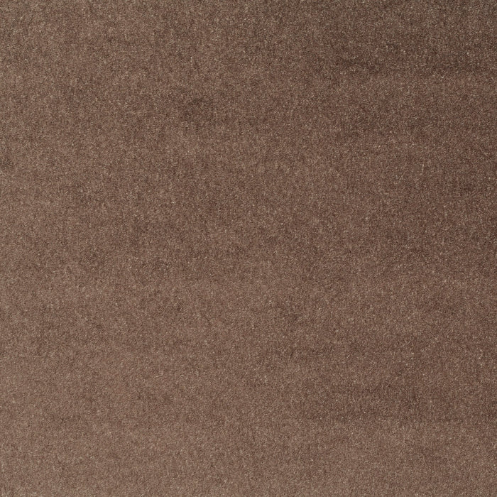Carlucci Eternal Velvet 021 Fabric Sample CA1540/021