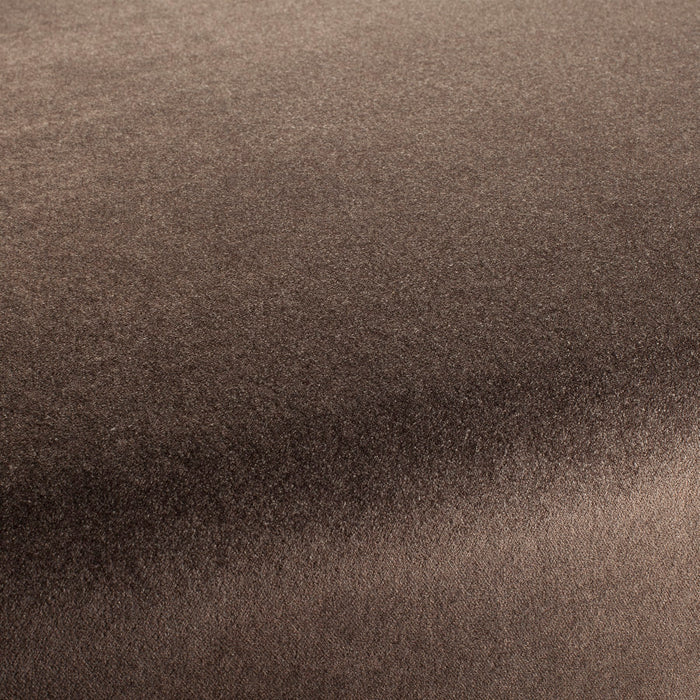 Carlucci Eternal Velvet 021 Fabric Sample CA1540/021
