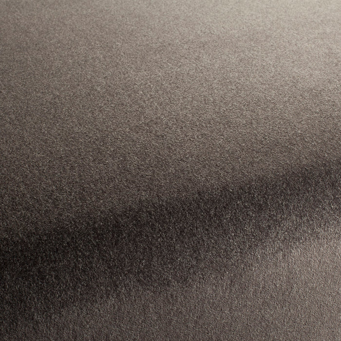 Carlucci Eternal Velvet 022 Fabric CA1540/022