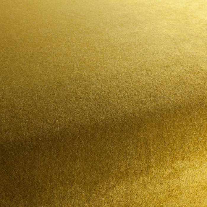 Carlucci Eternal Velvet 030 Fabric Sample CA1540/030