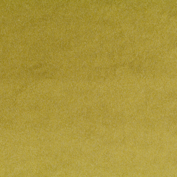 Carlucci Eternal Velvet 031 Fabric Sample CA1540/031