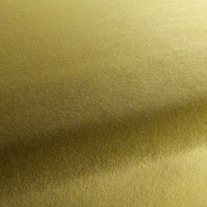 Carlucci Eternal Velvet 031 Fabric Sample CA1540/031